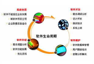 軟件開(kāi)發(fā)技術(shù)與信息系統(tǒng)集成服務(wù)概述